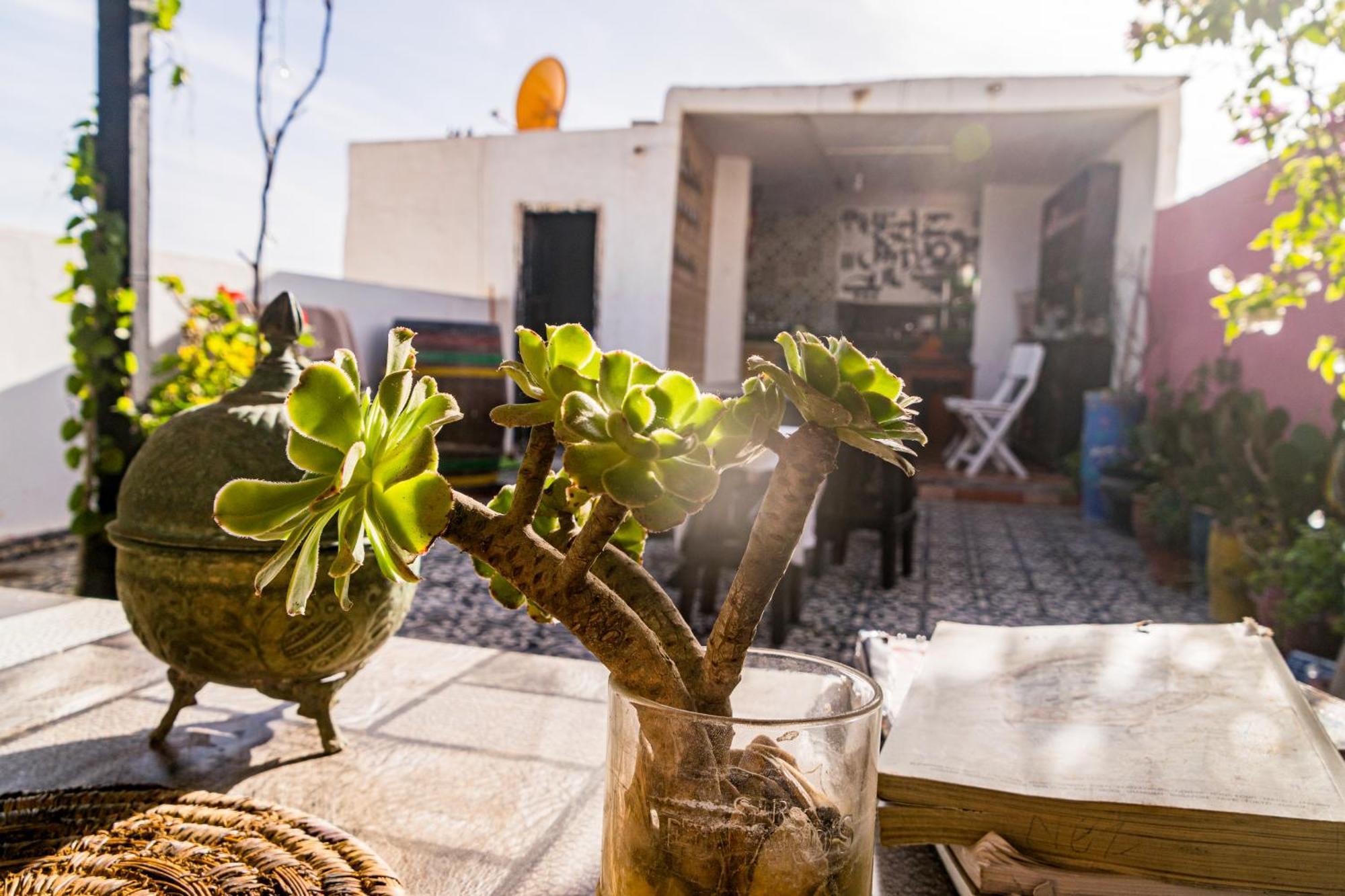 Essaouira Youth Hostel & Social Travel מראה חיצוני תמונה